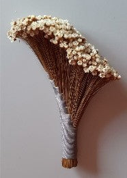 Diagonal “Sempre Viva” Decorative Broom