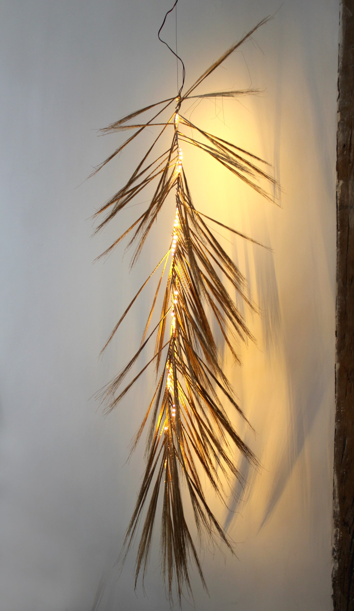 CAPIM DOURADO LED PENDANT 6'